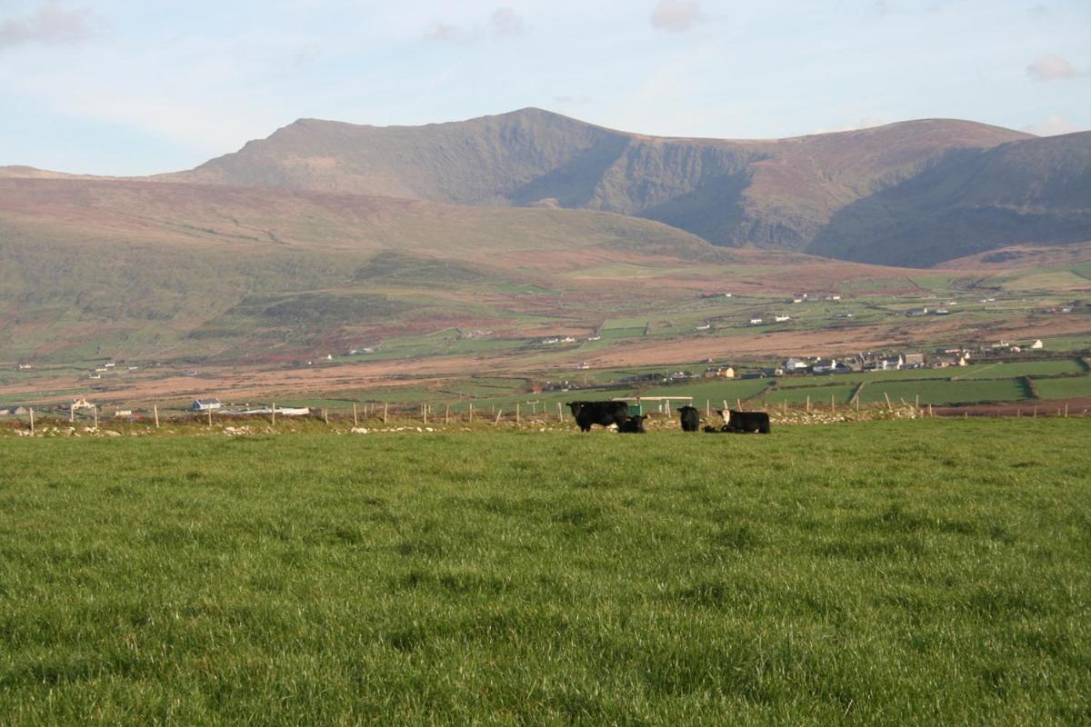 Coill An Rois B&B Ballydavid Exterior foto