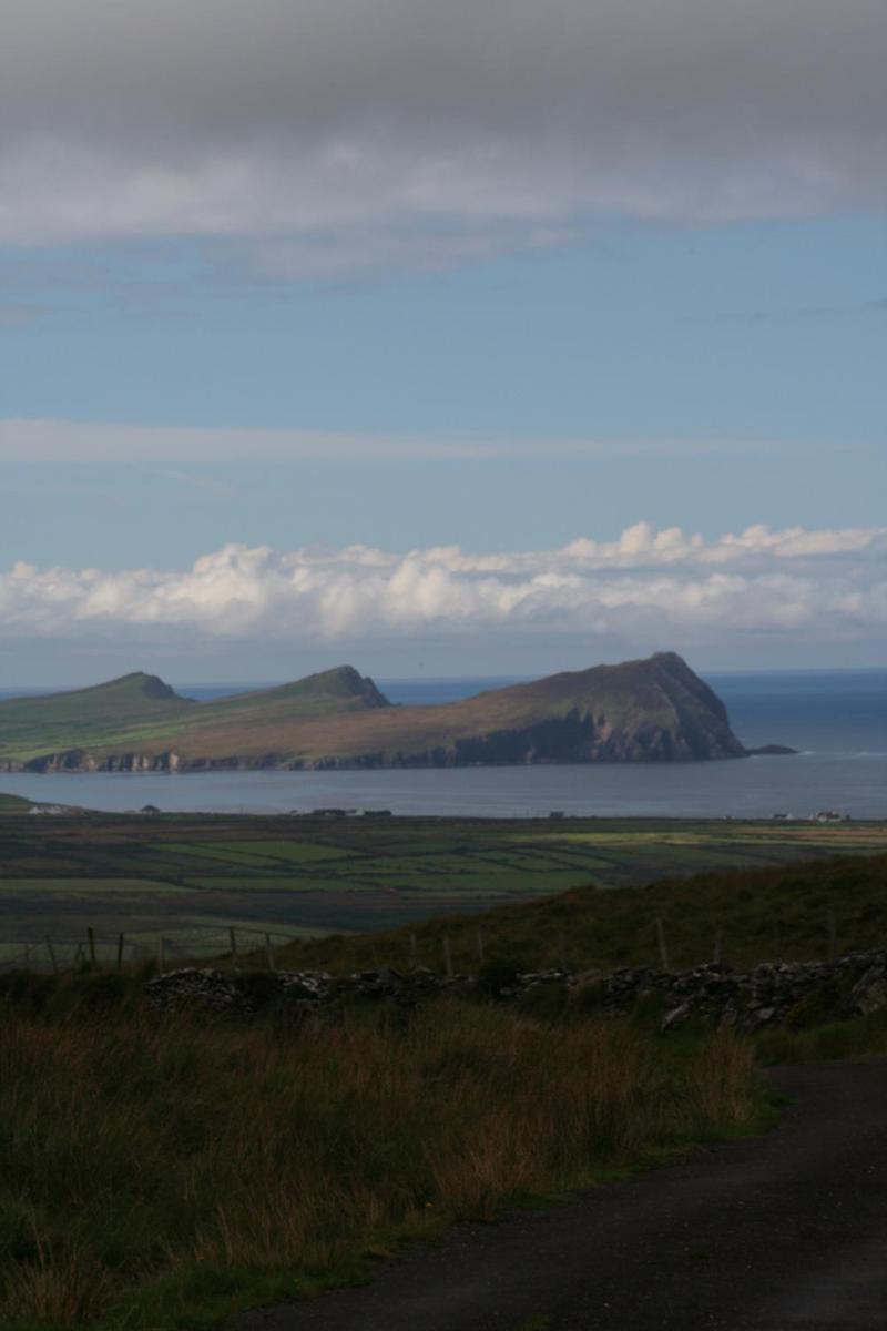 Coill An Rois B&B Ballydavid Exterior foto